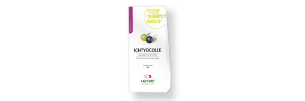Ichtyocolle