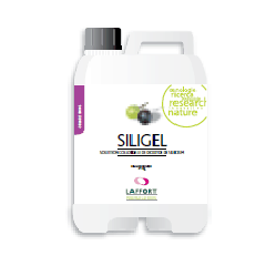 Siligel