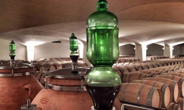 Wine Amphoras